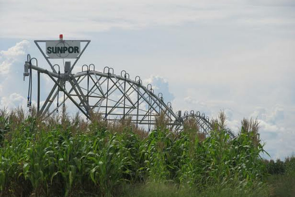 PDAC: World Bank Provides USD 230 Million to Support Commercial Agriculture
